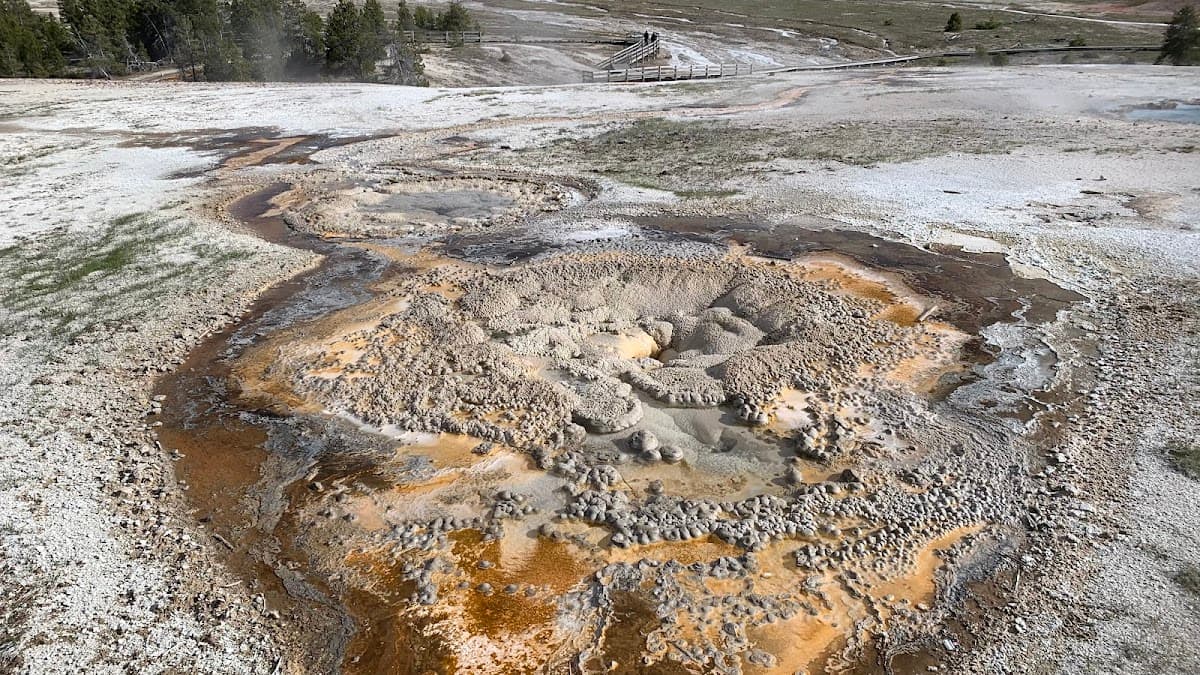 Anemone Geyser