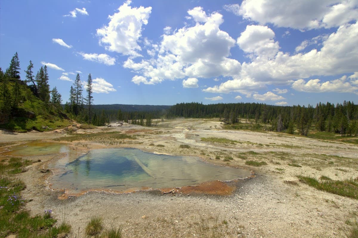 Shoshone Geyser