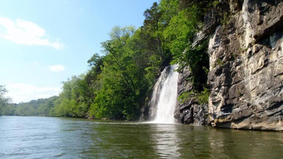 Chetola Orvis Endorsed Fly Fishing Guide Service