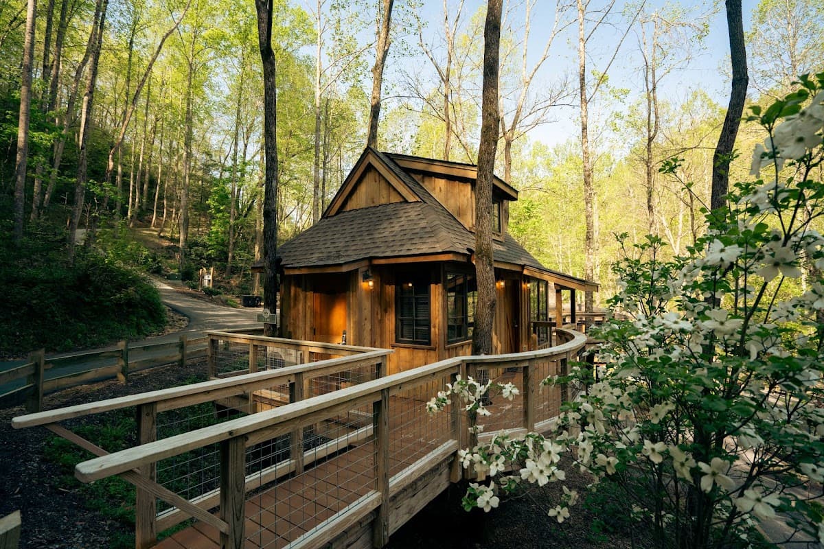 Treehouse Grove