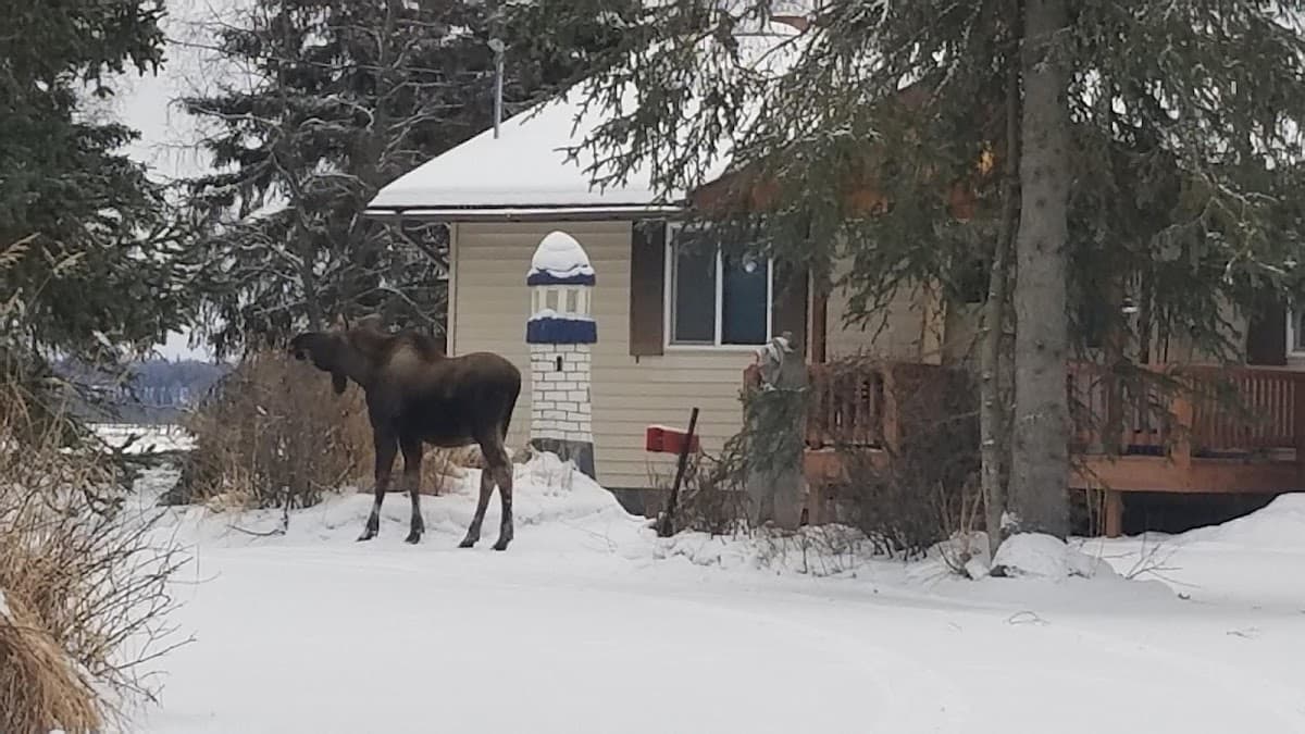 Tanglewood Bed & Breakfast