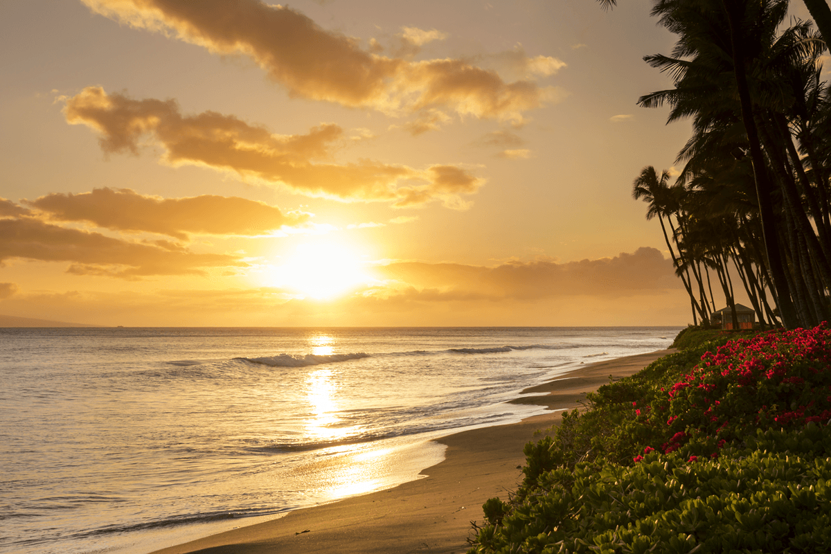 Luxury First Travel