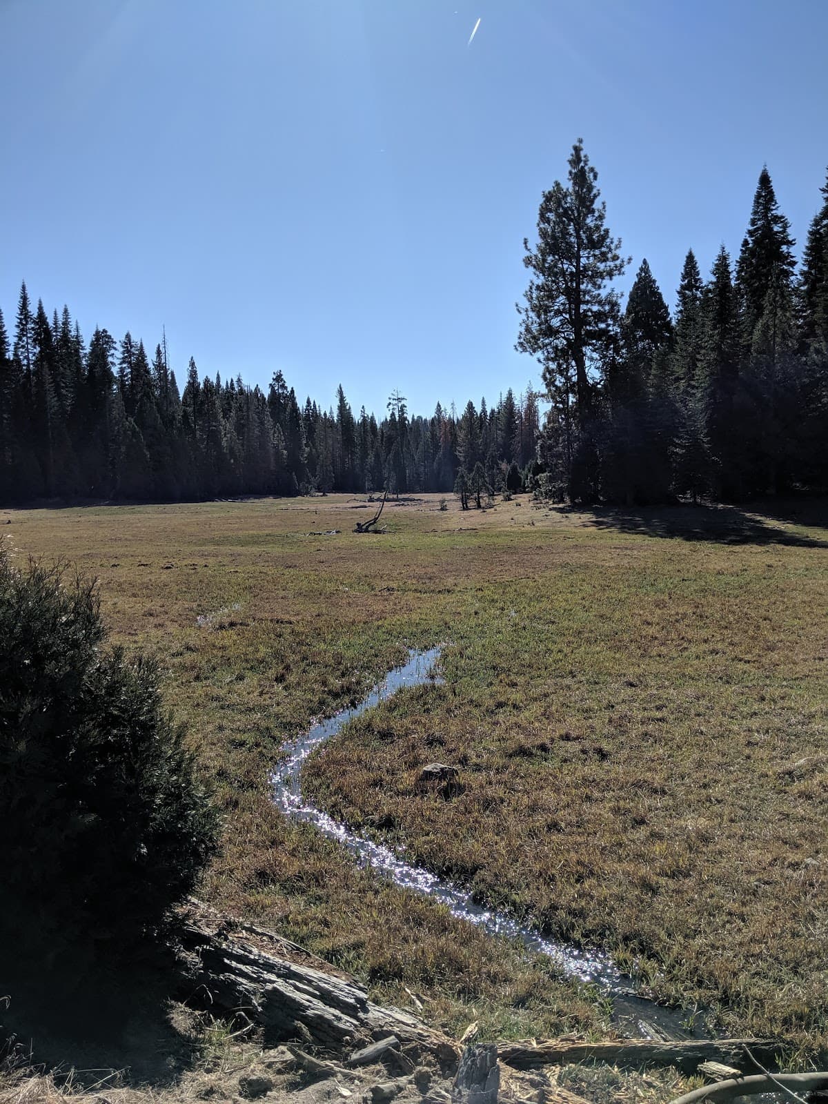 Lost Meadow
