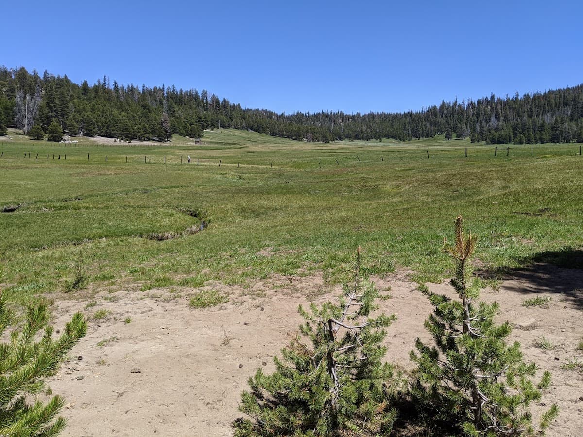 Casa Vieja Meadows