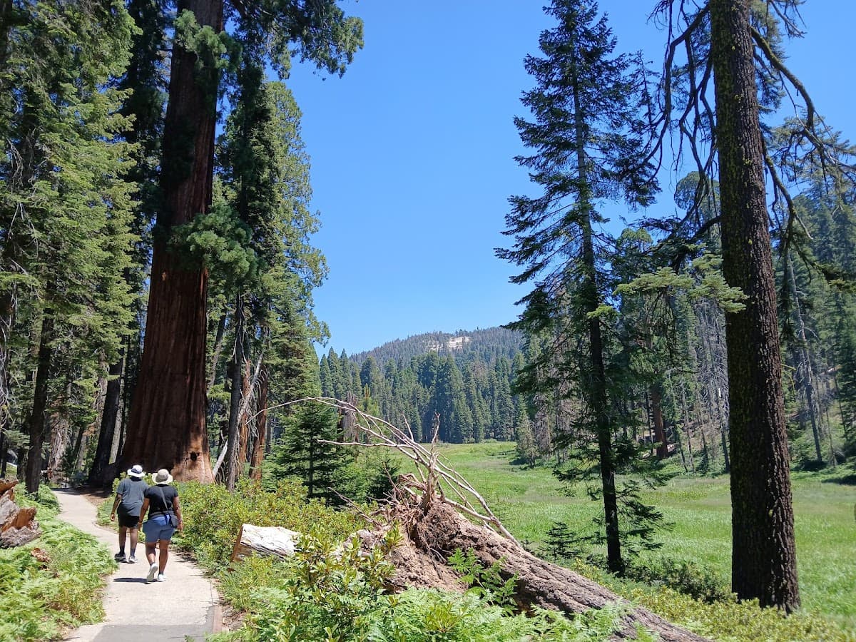 Crescent Meadow