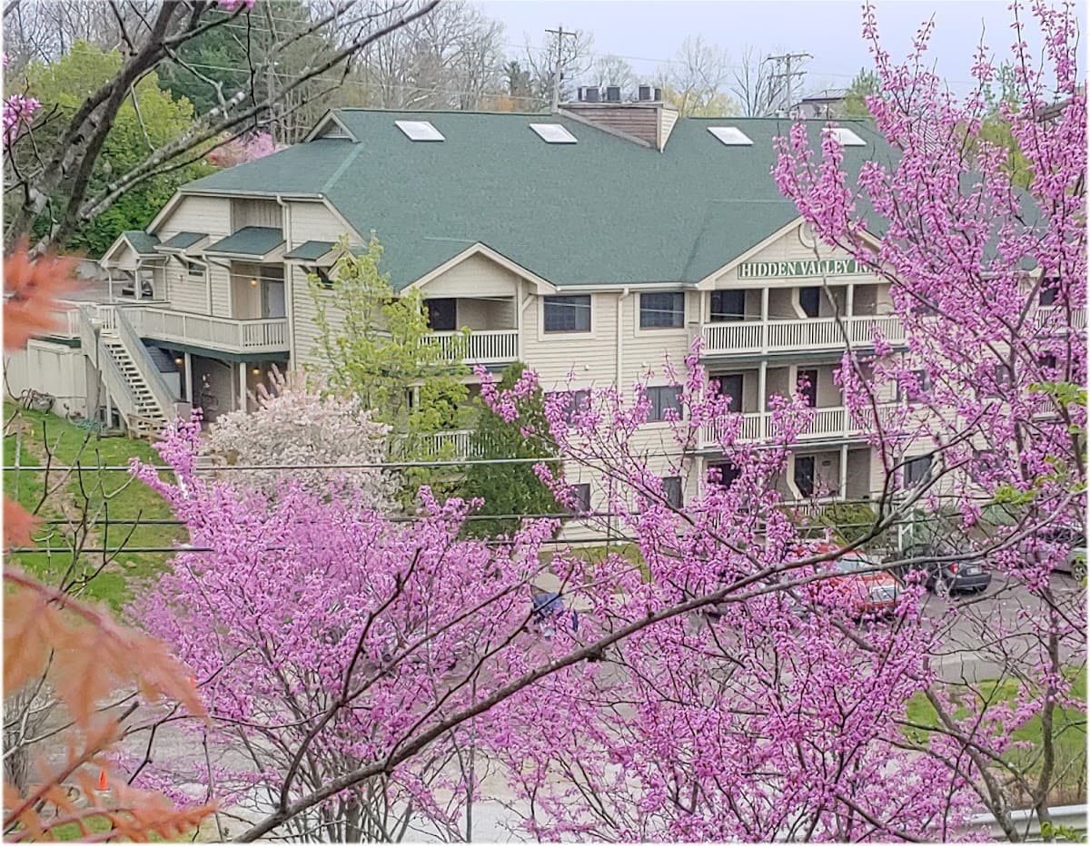 Grand Wood Suites