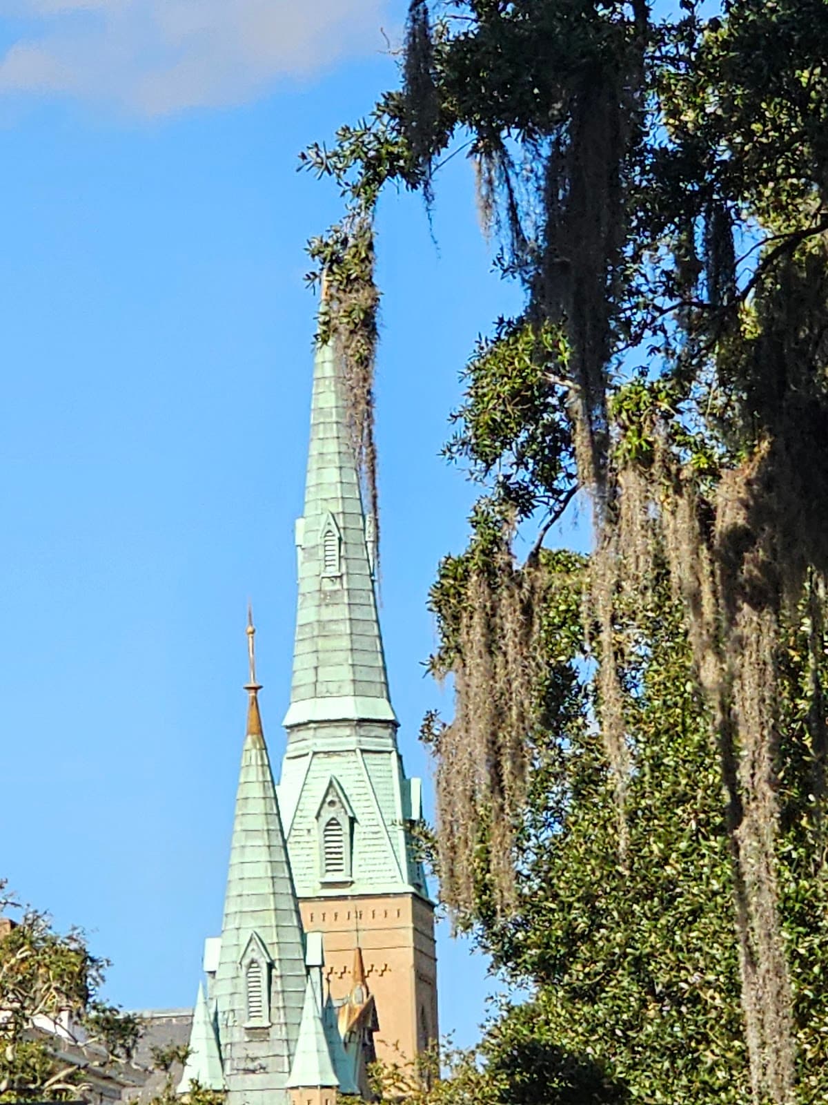 The Bluff Savannah Historic, Tapestry Collection by Hilton