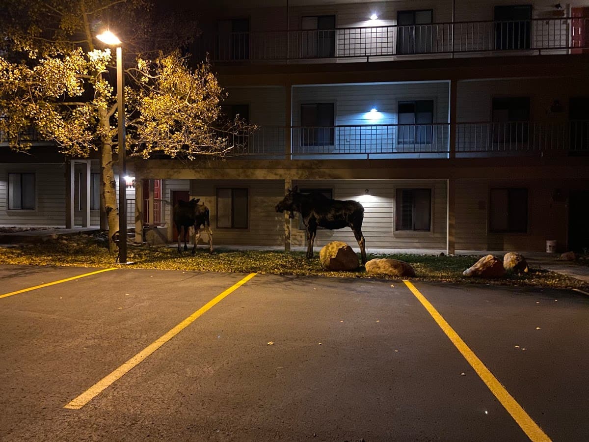 Salt Lick Condos