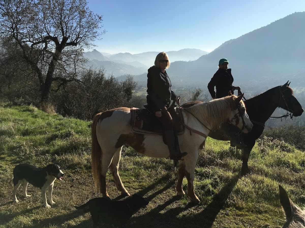 Riata Ranch International, Inc.