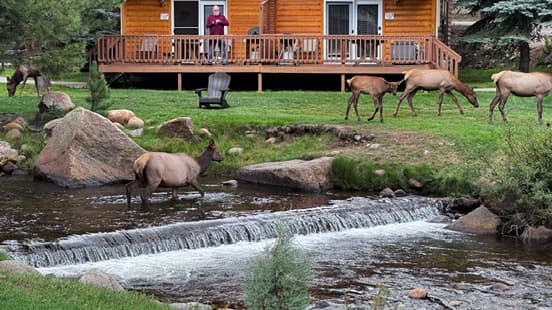 Riverview Pines