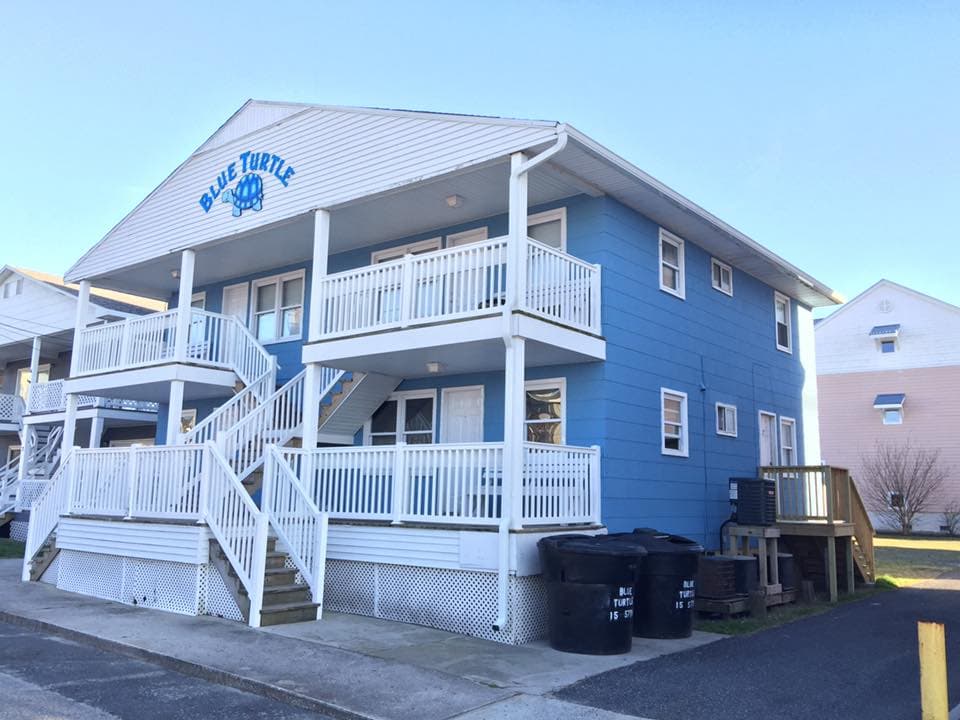 The Blue Turtle
