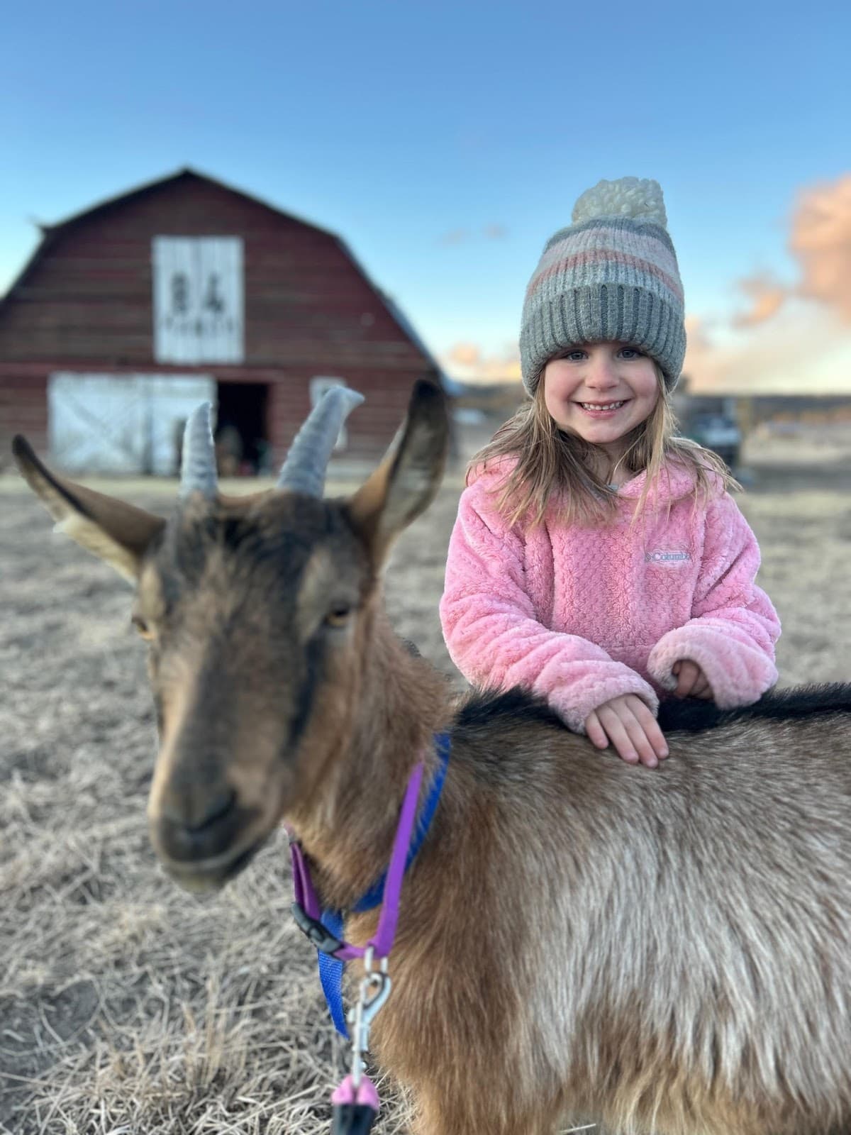 84 RANCH