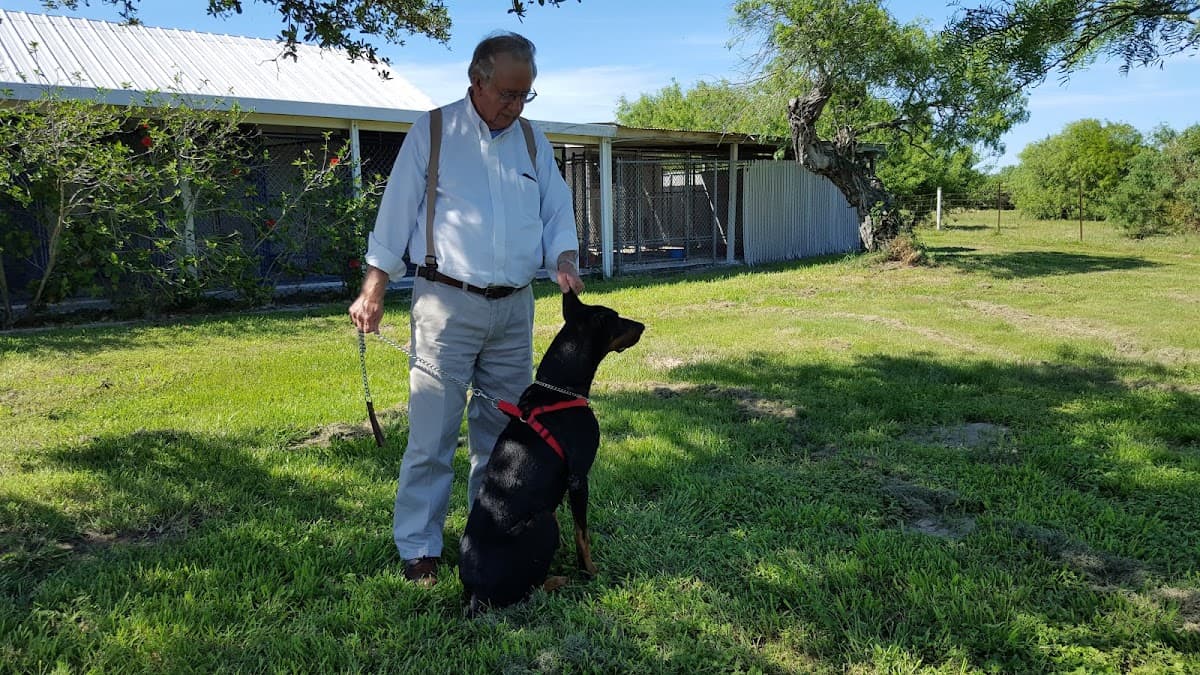 Bluff Boarding Kennels & Cattery