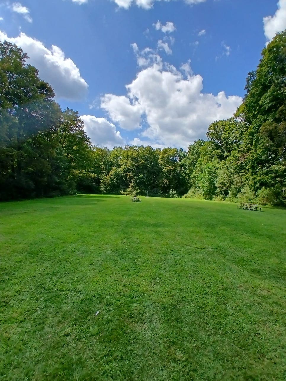 Haskin's Group Campsites