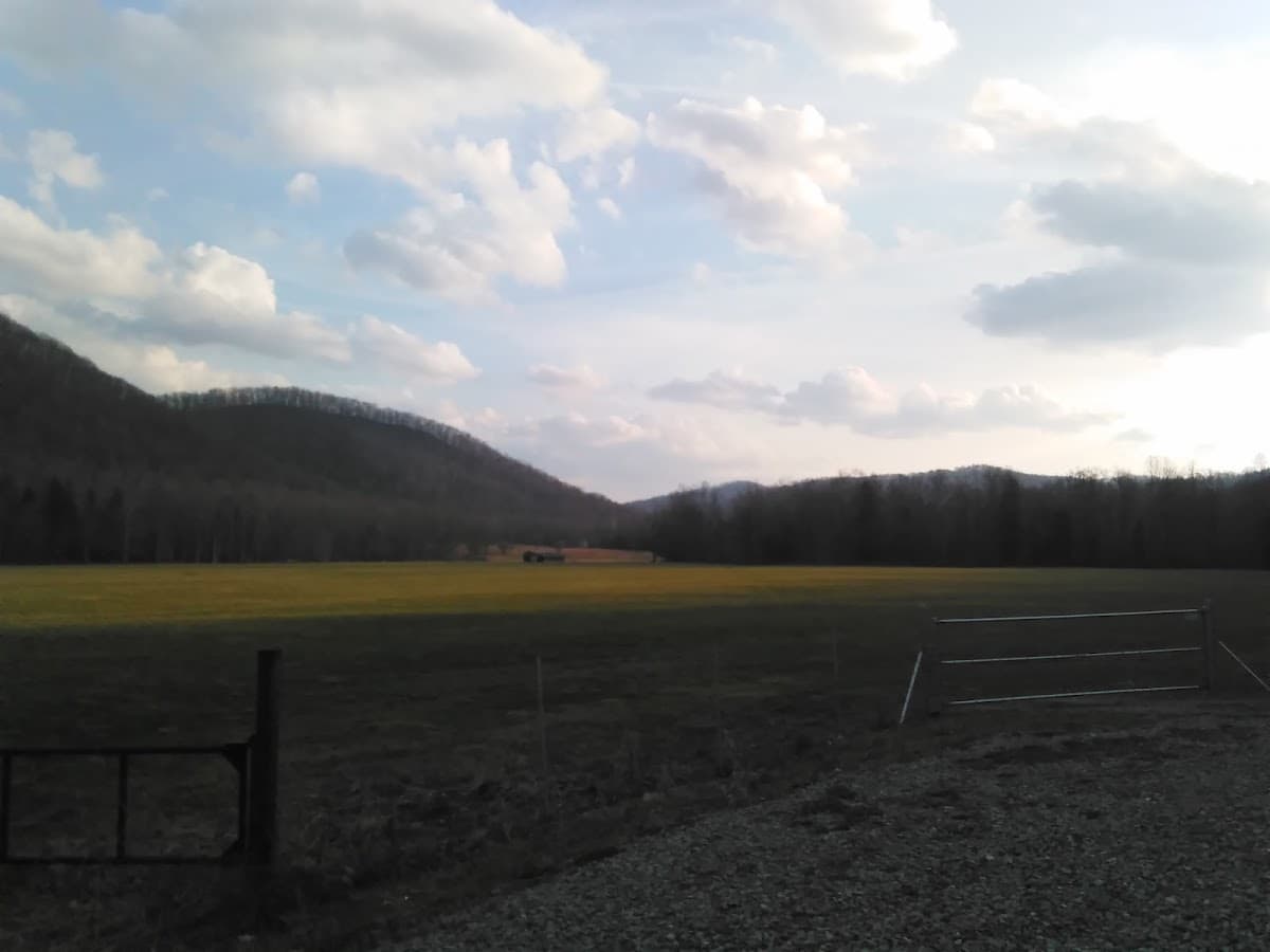 Lower Cheat Land Co LLC