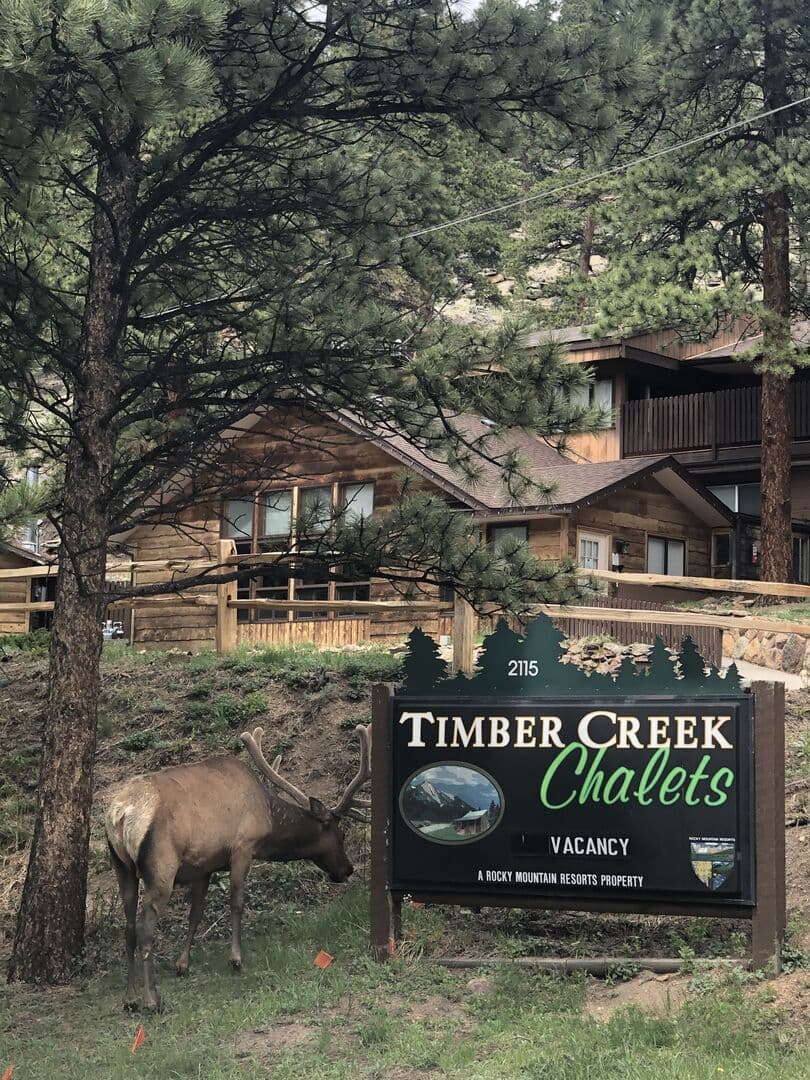Timber Creek Chalets