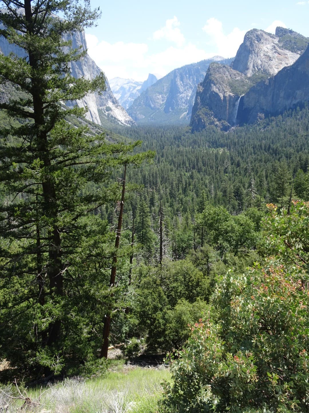 Quiet, Comfy & Convenient Site, Close to Yosemite