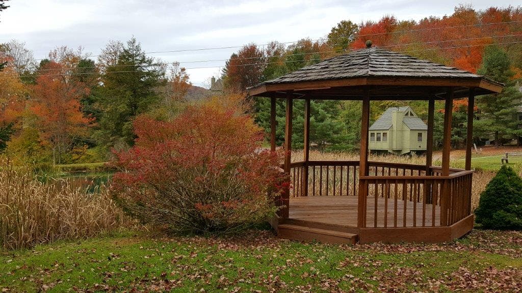 Black Bear Resort