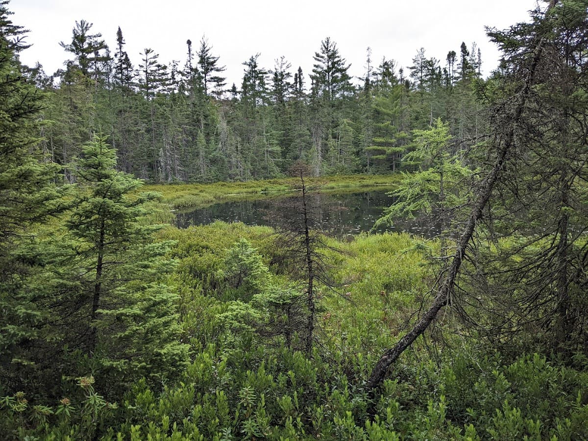 Robert T. Brown Nature Sanctuary