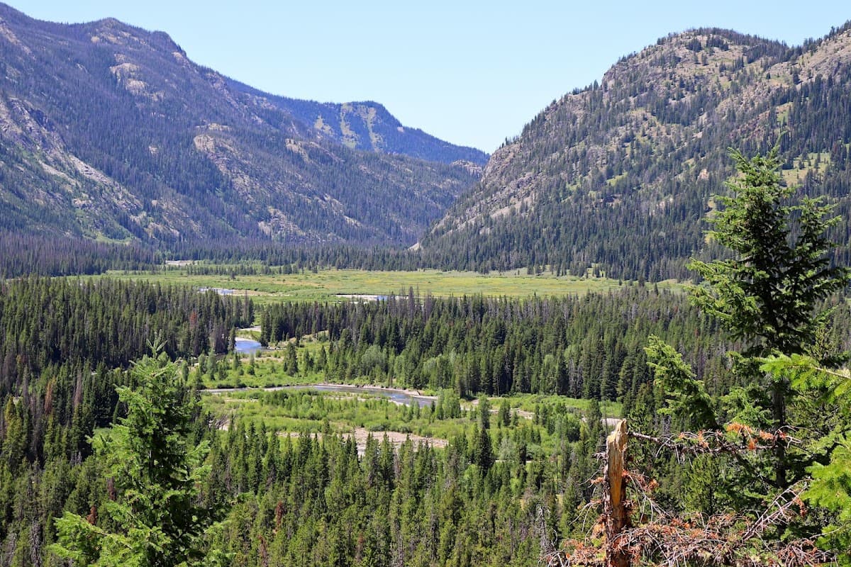 Terrace Meadows