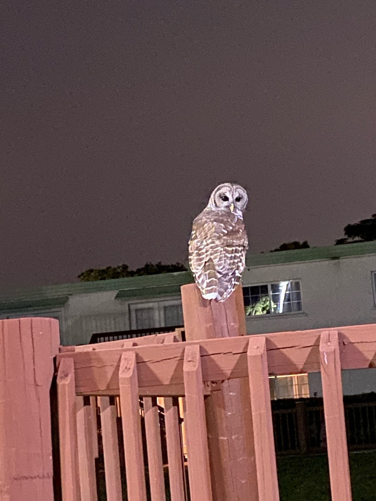 Revere Landings Apartments