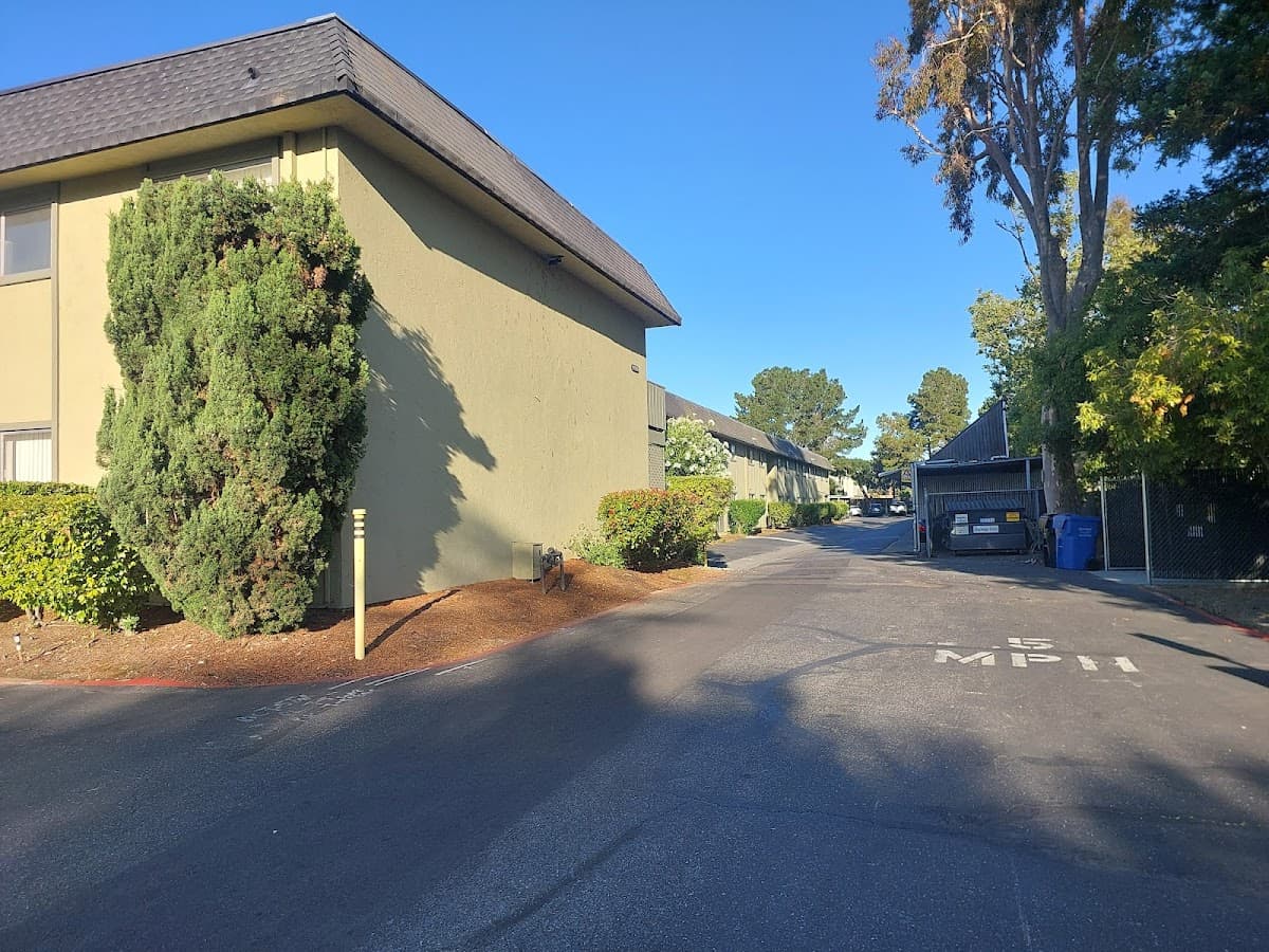 Olive Tree Apartments