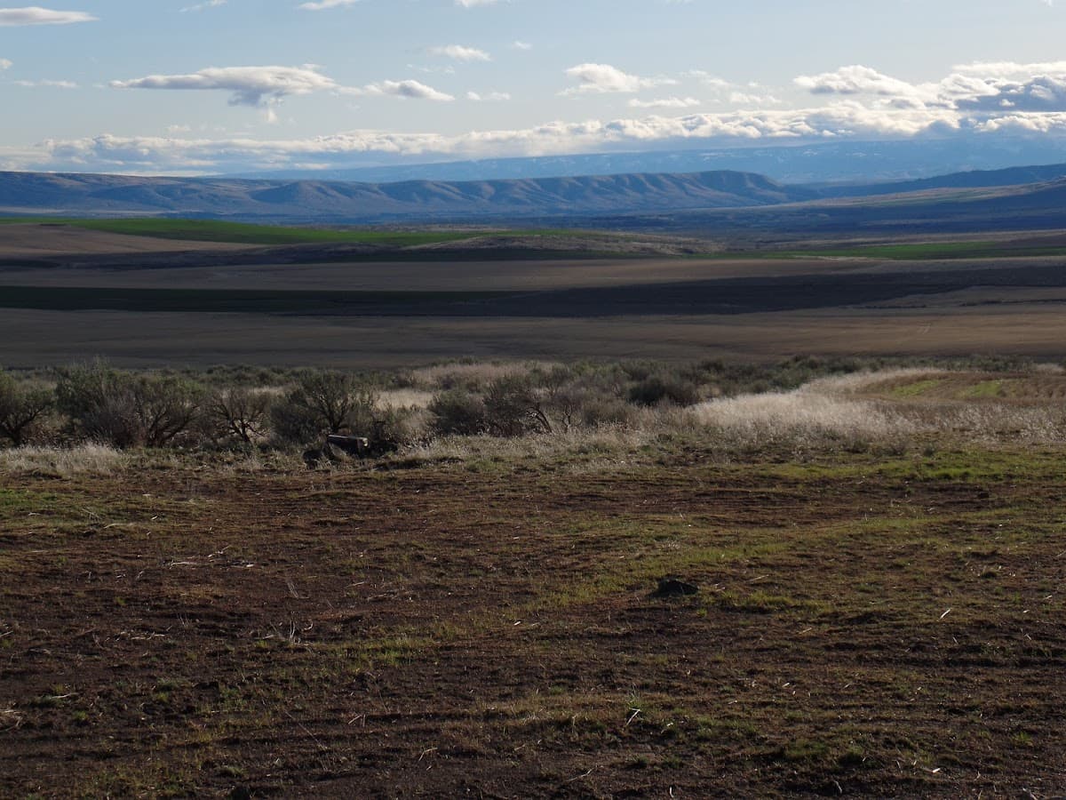 Sagebrush Flat