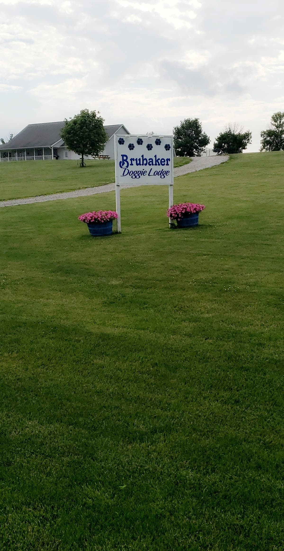 Brubaker Puppy Acres