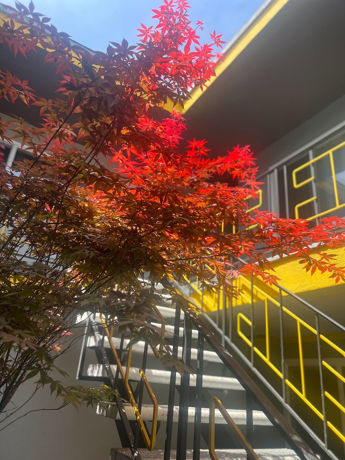 Kenmore Commons - KTown Creative Living