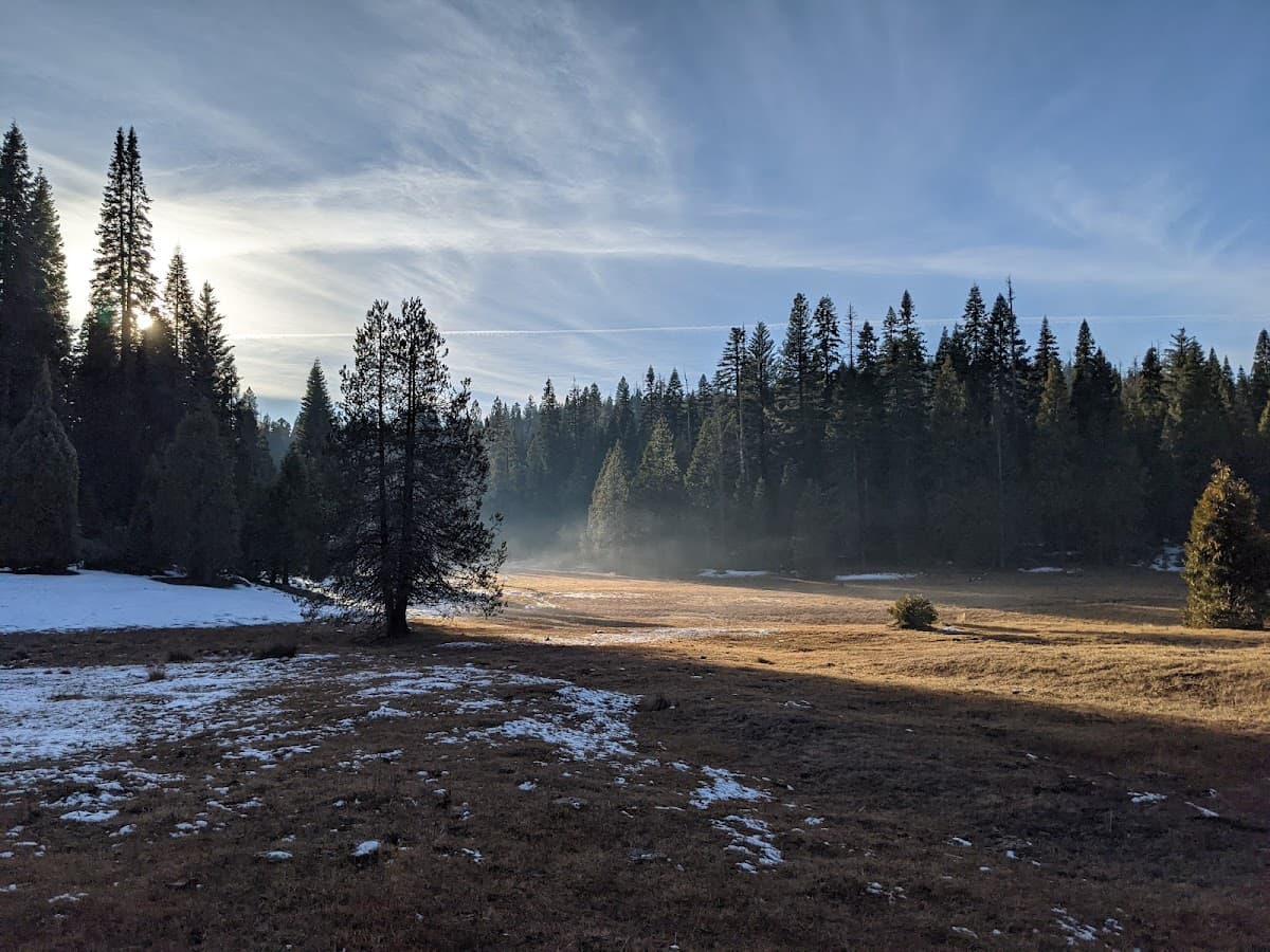 Soquel Meadow