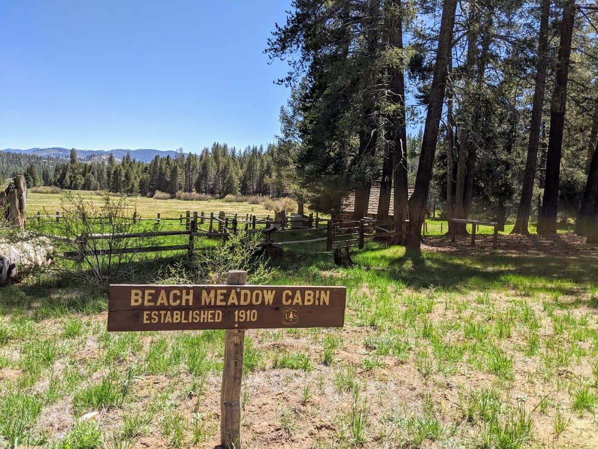 Beach Meadows