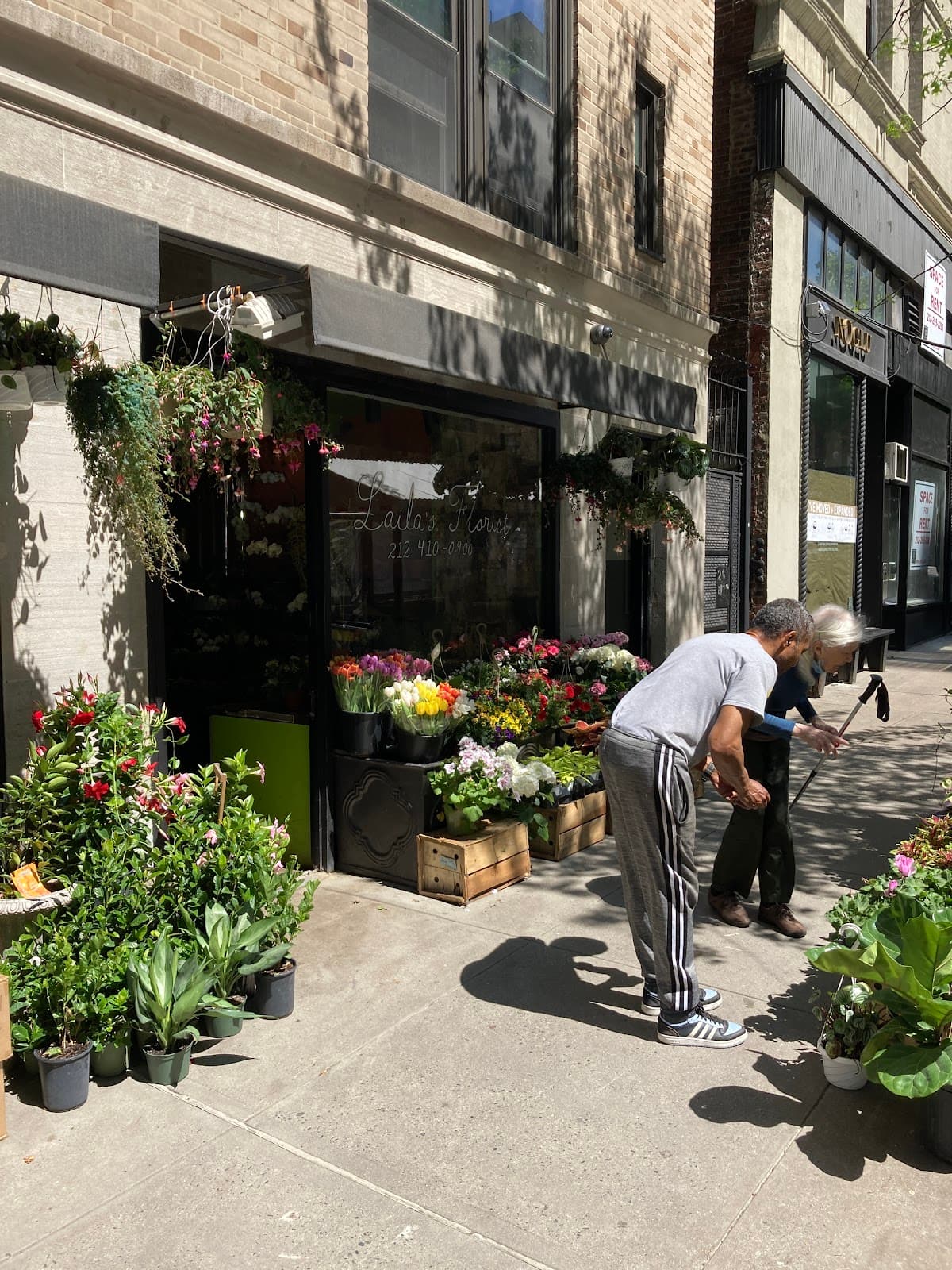 Laila's florist