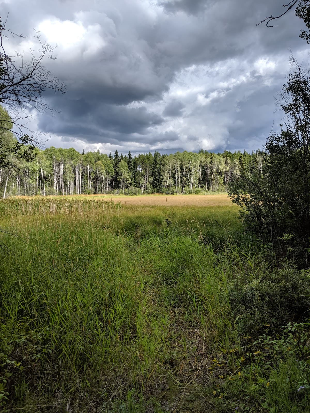 Round Meadow