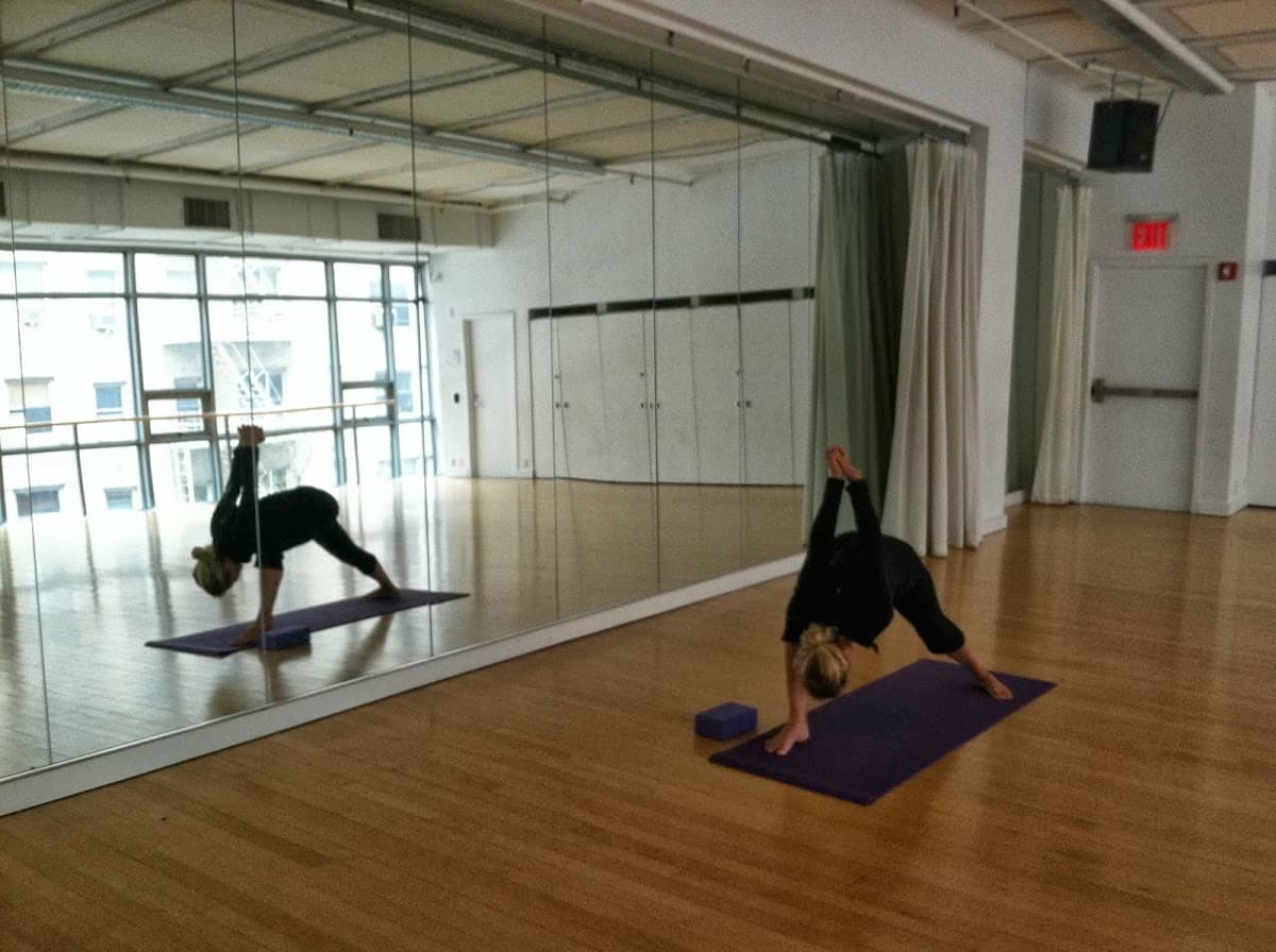 Hudson Hatha Yoga @ New York Live Arts