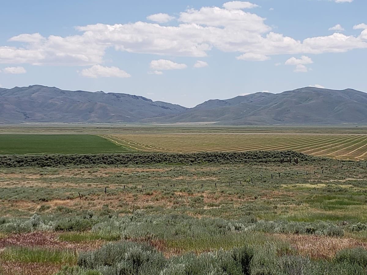 Camas Prairie