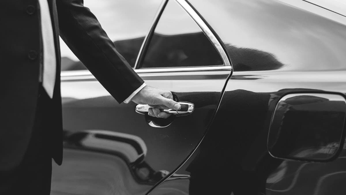 PLS VIP LIMO