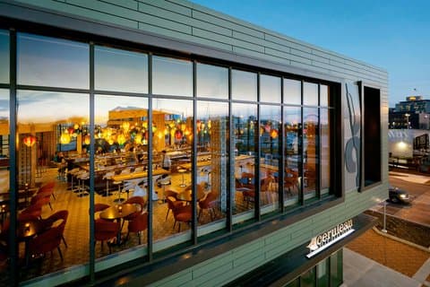 The Alexander