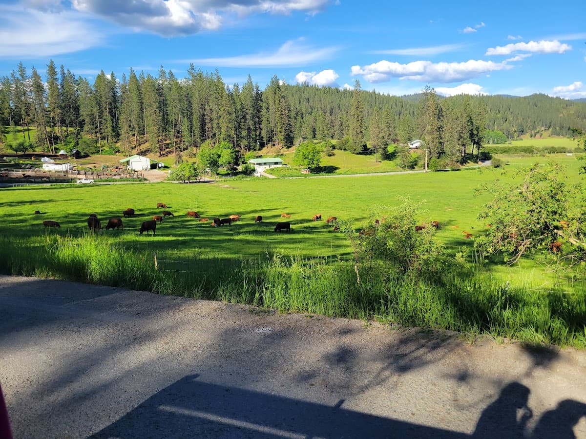 Rider Ranch