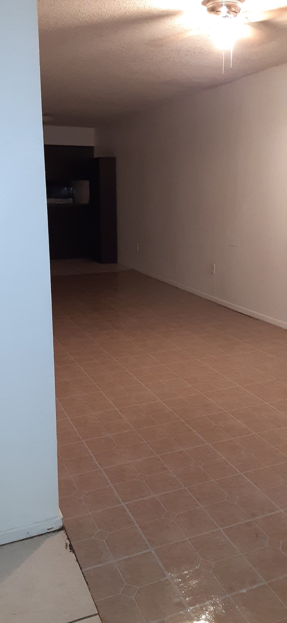 Camelot apt