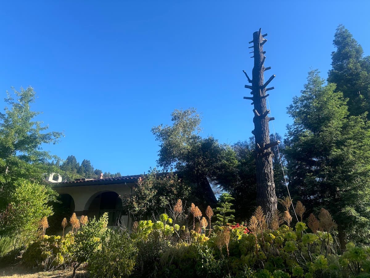 Mountain Lodge Estate