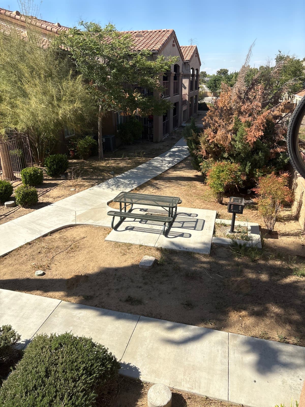 Twin Palms