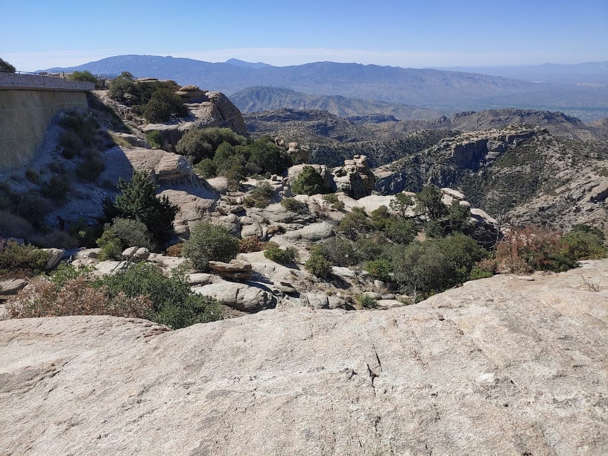 Lemmon Park