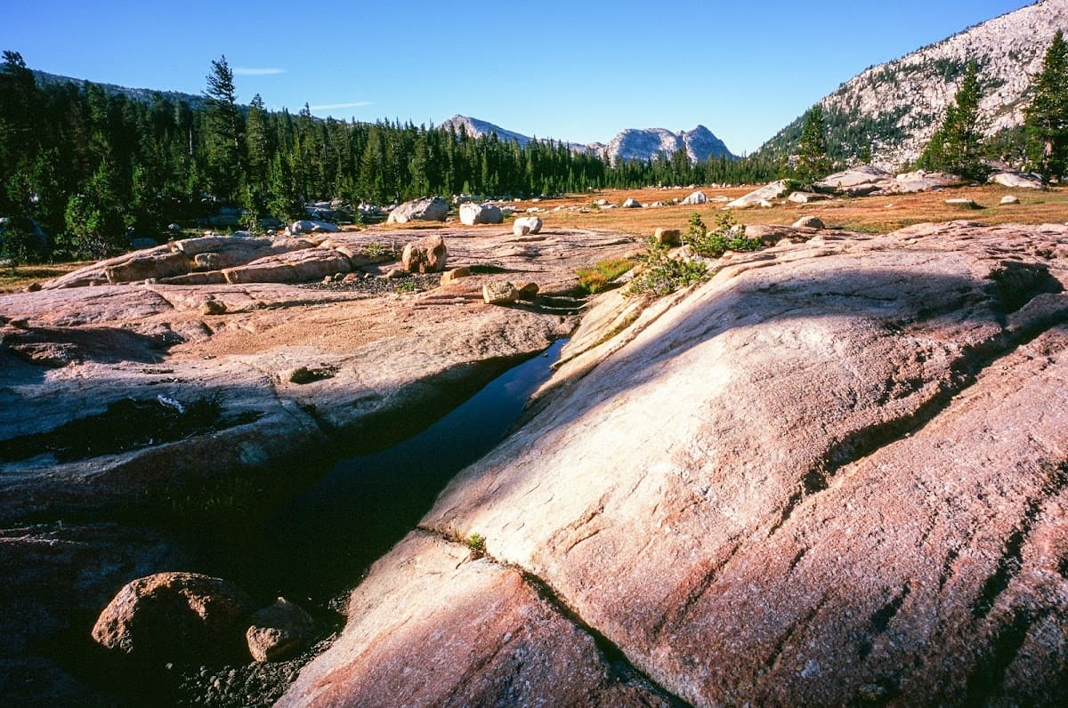Kerrick Meadow