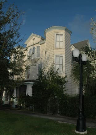 The Magnolia