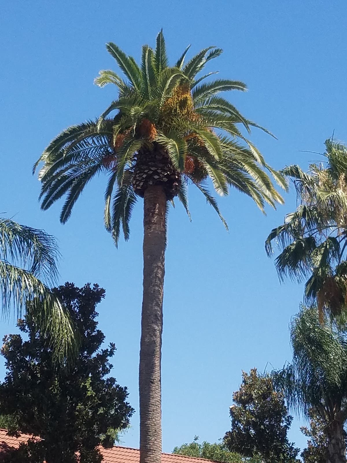 Villa Borgata Condominiums