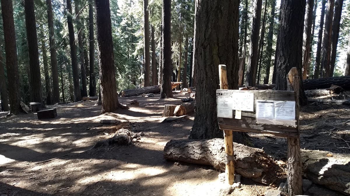Bearpaw Meadow