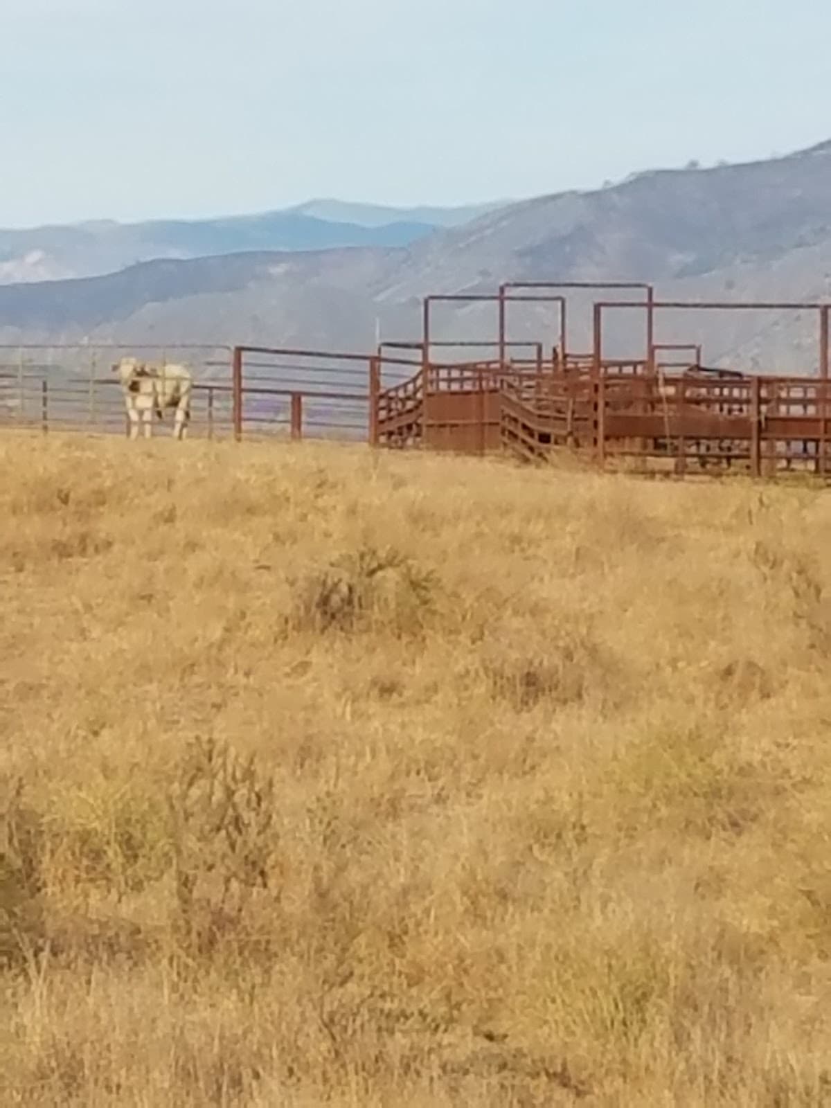 Vaquero Flat