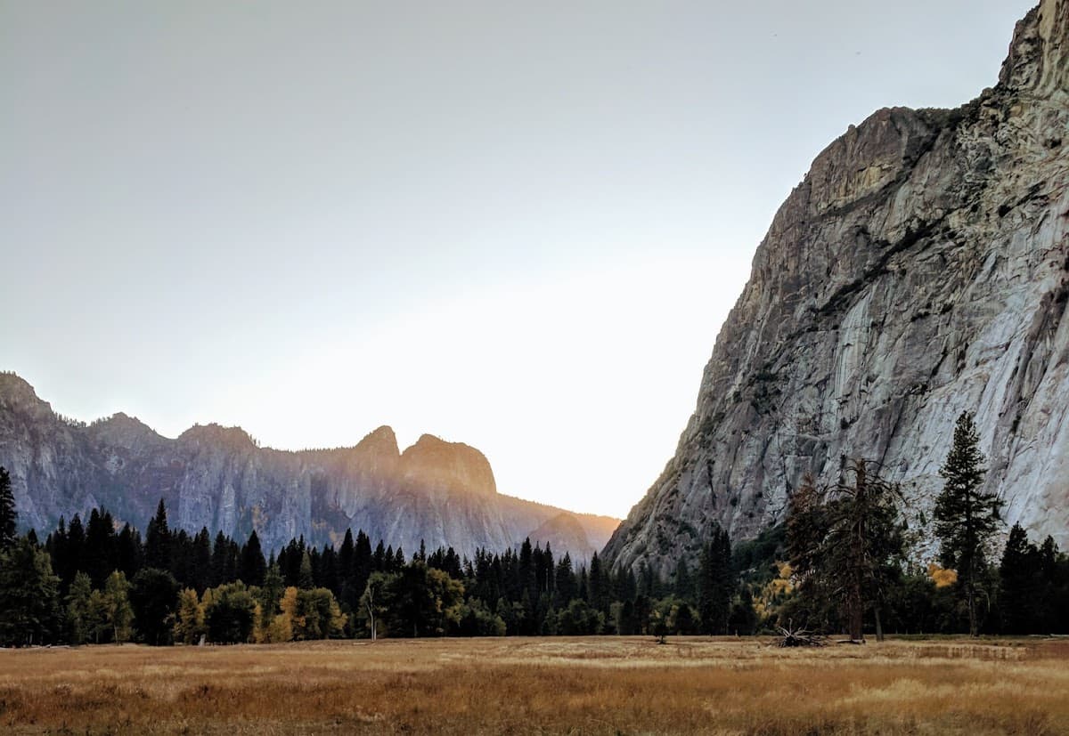 Leidig Meadow