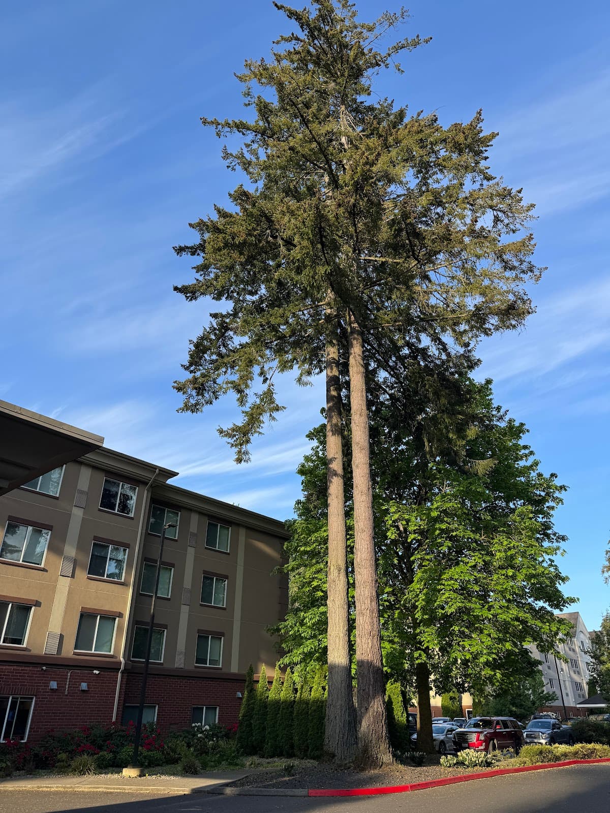 Holiday Inn Express & Suites Lacey - Olympia by IHG