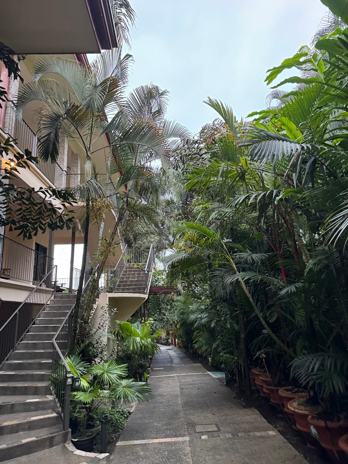 Paradise Hot Springs and Resort